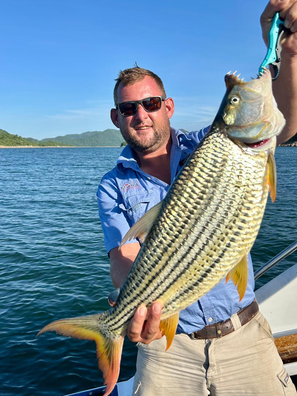 Tigerfish Safari