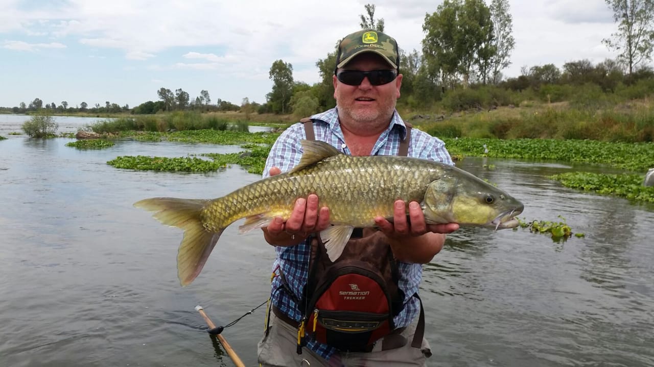 Yellowfish Safari